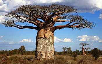 At an accelerating pace