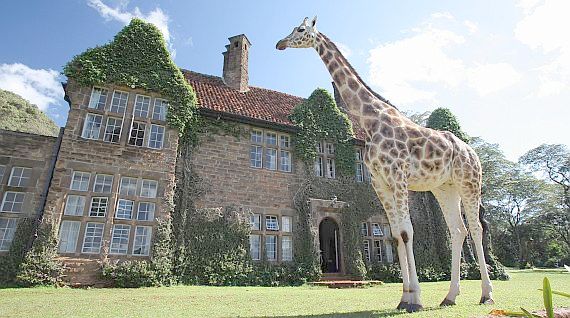 The power of Peer-to-Peer