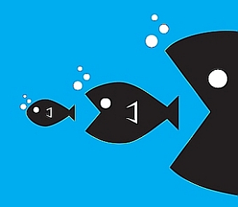 The facts behind potential mergers