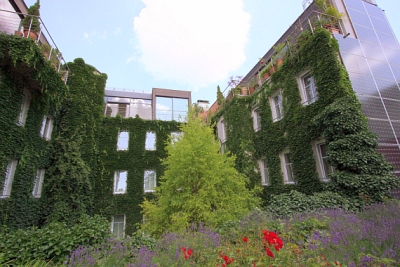 Everything in the green area