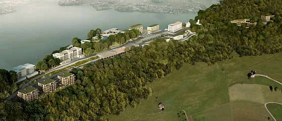 Greedy investors, popular Switzerland