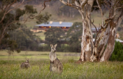 Nature and Nirvana, or Thrill of a Lifetime