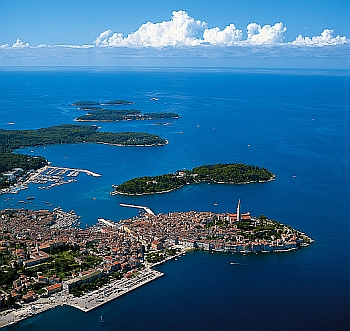 Celebrities as investment draught horses