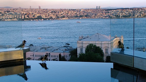 Risk capital in Turkish