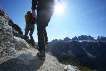 Alpine insider deal to counter decline