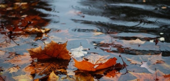 Assetklasse Hotels: Veränderte Prioritäten