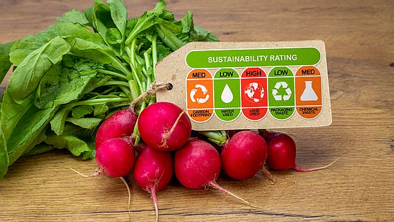 How does the consumer decide?