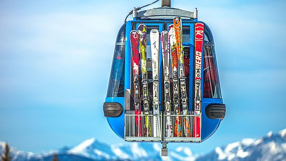 This winter had unexpected appeal