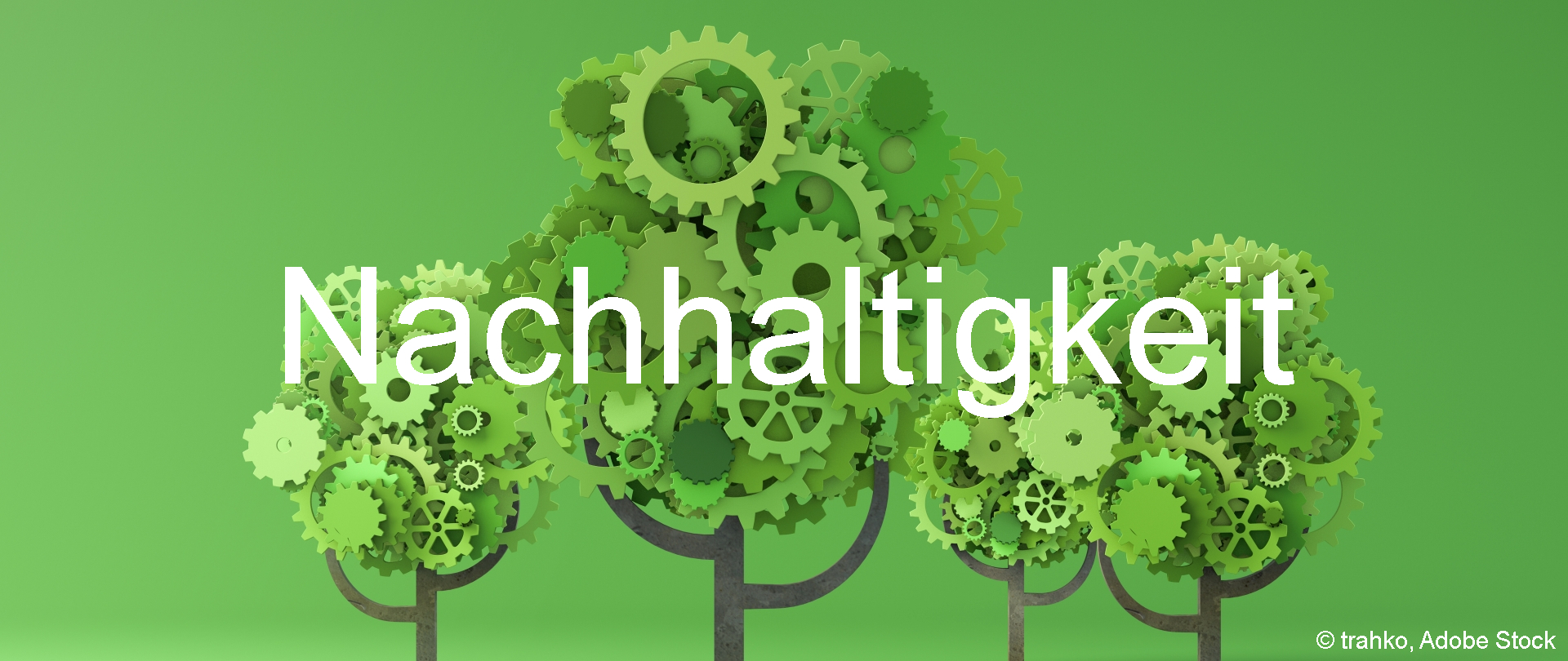 Rubrik Nachhaltigkeit