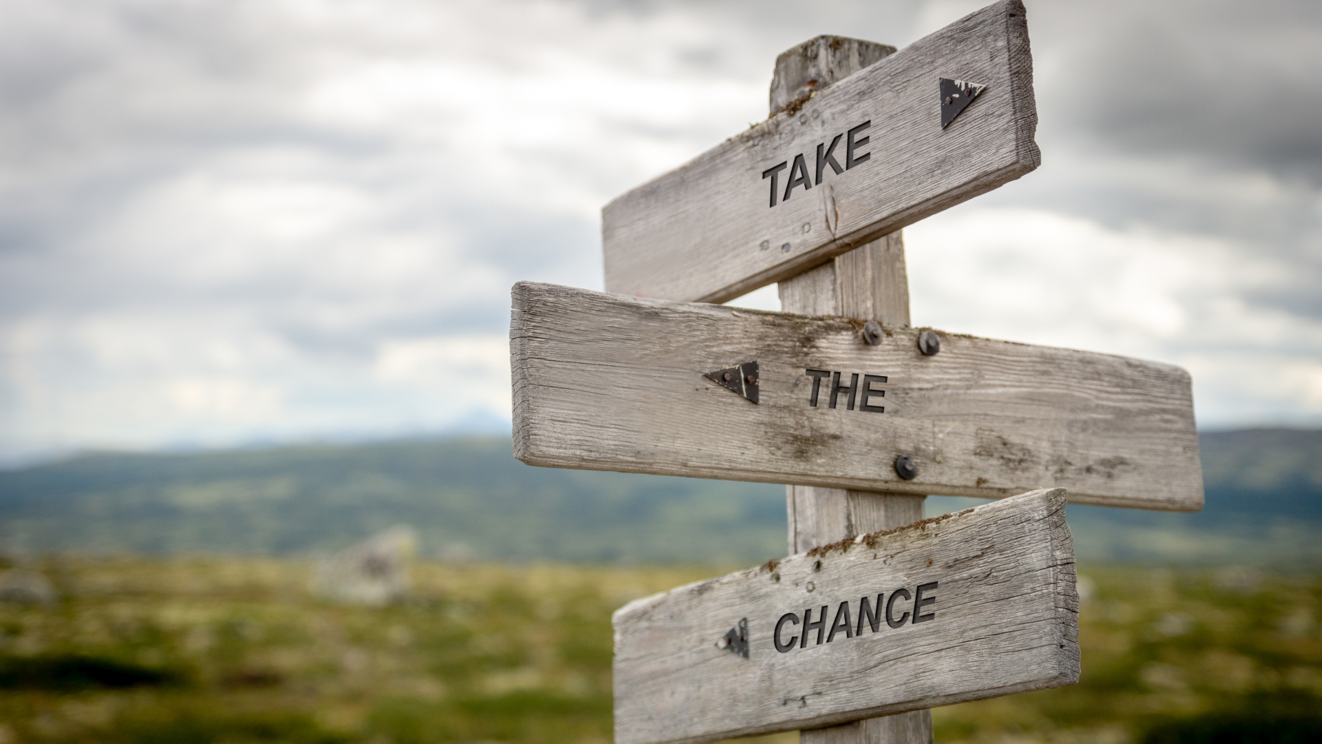 High season for insolvency administrators