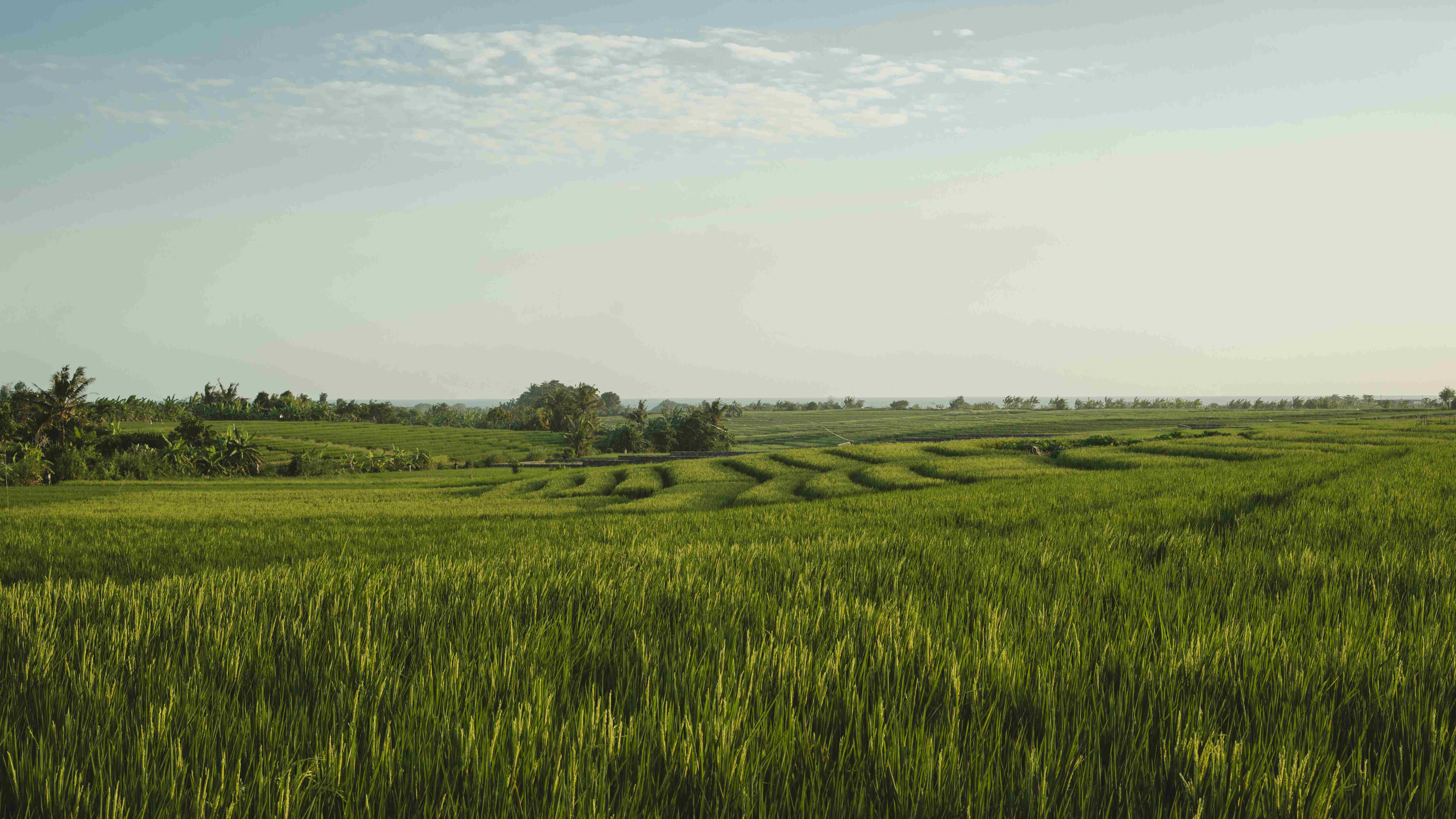 Global tracker helps understand ESG guidelines