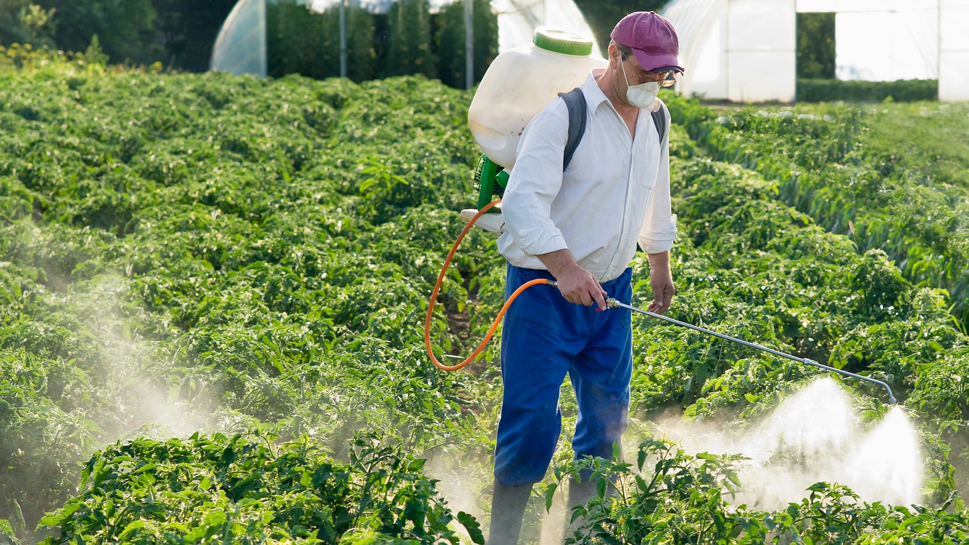 Will climate change become a job killer?