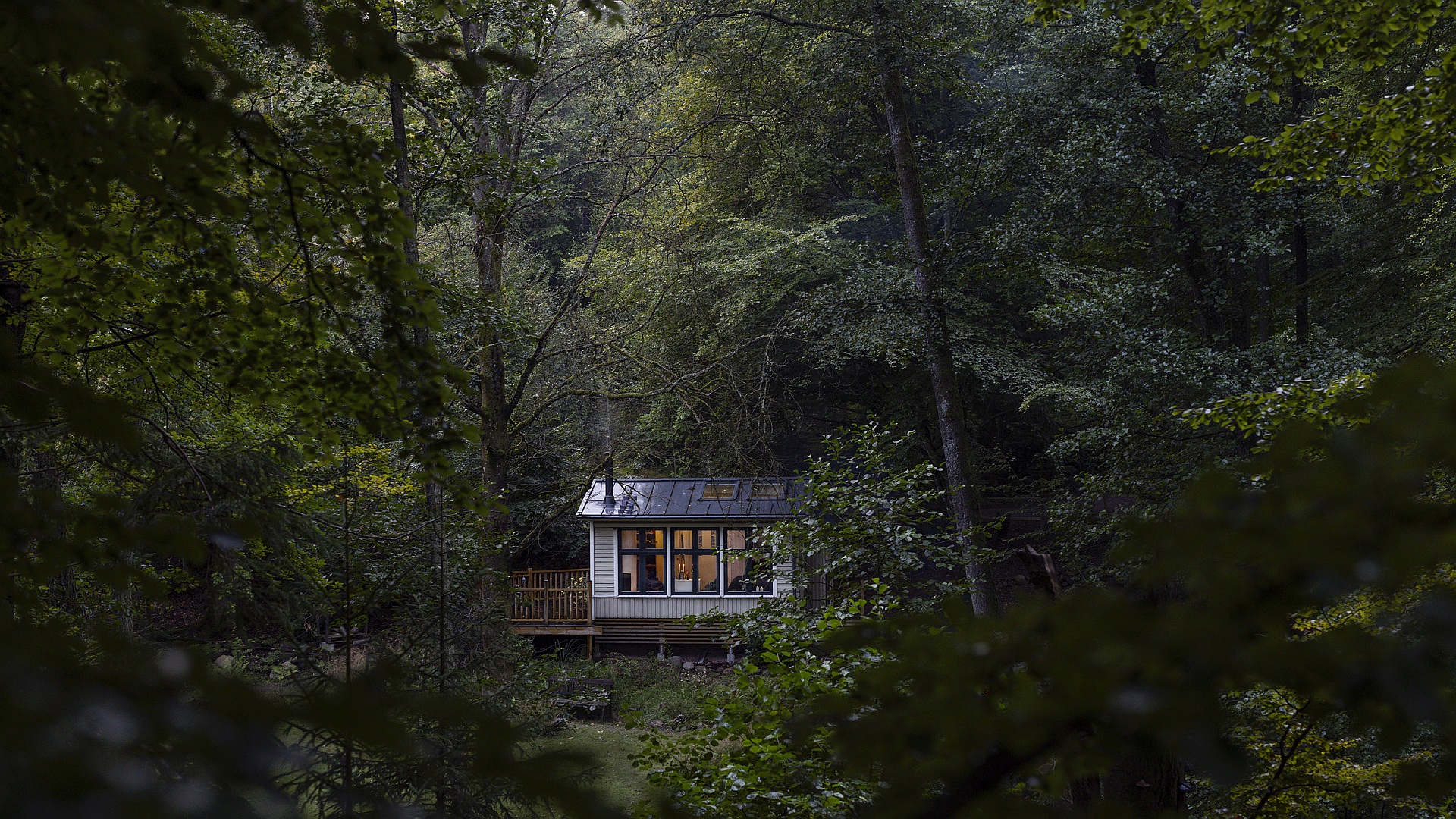 Wer leise ist, darf bleiben