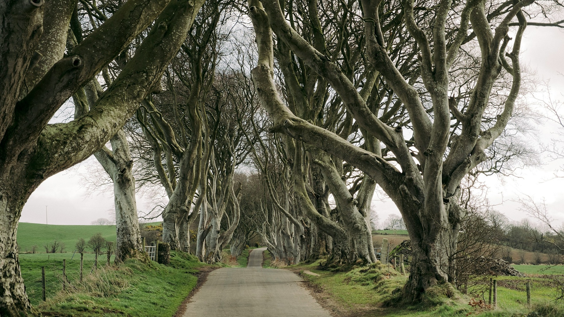Deutsche lieben "Set-Jetting"