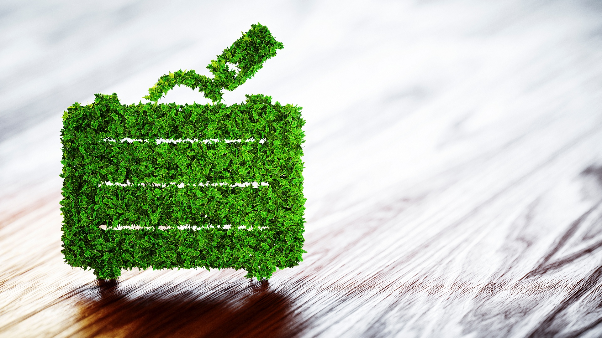 Nachhaltige Geschäftsreisen generieren mehr Buchungen