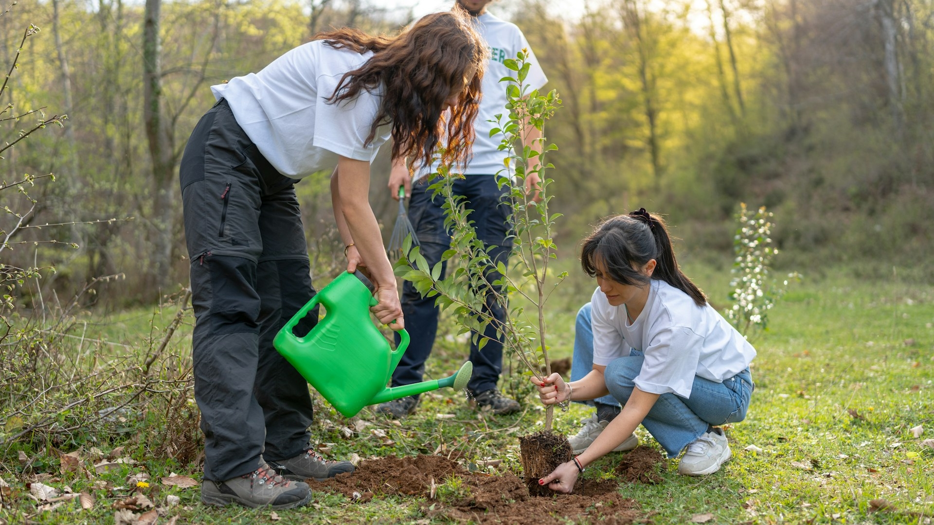 //static.hospitalityinside.com/image/convert/hos/2025/11/19/mediaserver-fp-2ffileorigs-2f7d-2f7d9gvlzwcjikjngkty-1763557653-hnbzuvz-691e01efd6453554994436.jpg?s=7a6966870e43fa16386d7c85911c6a42