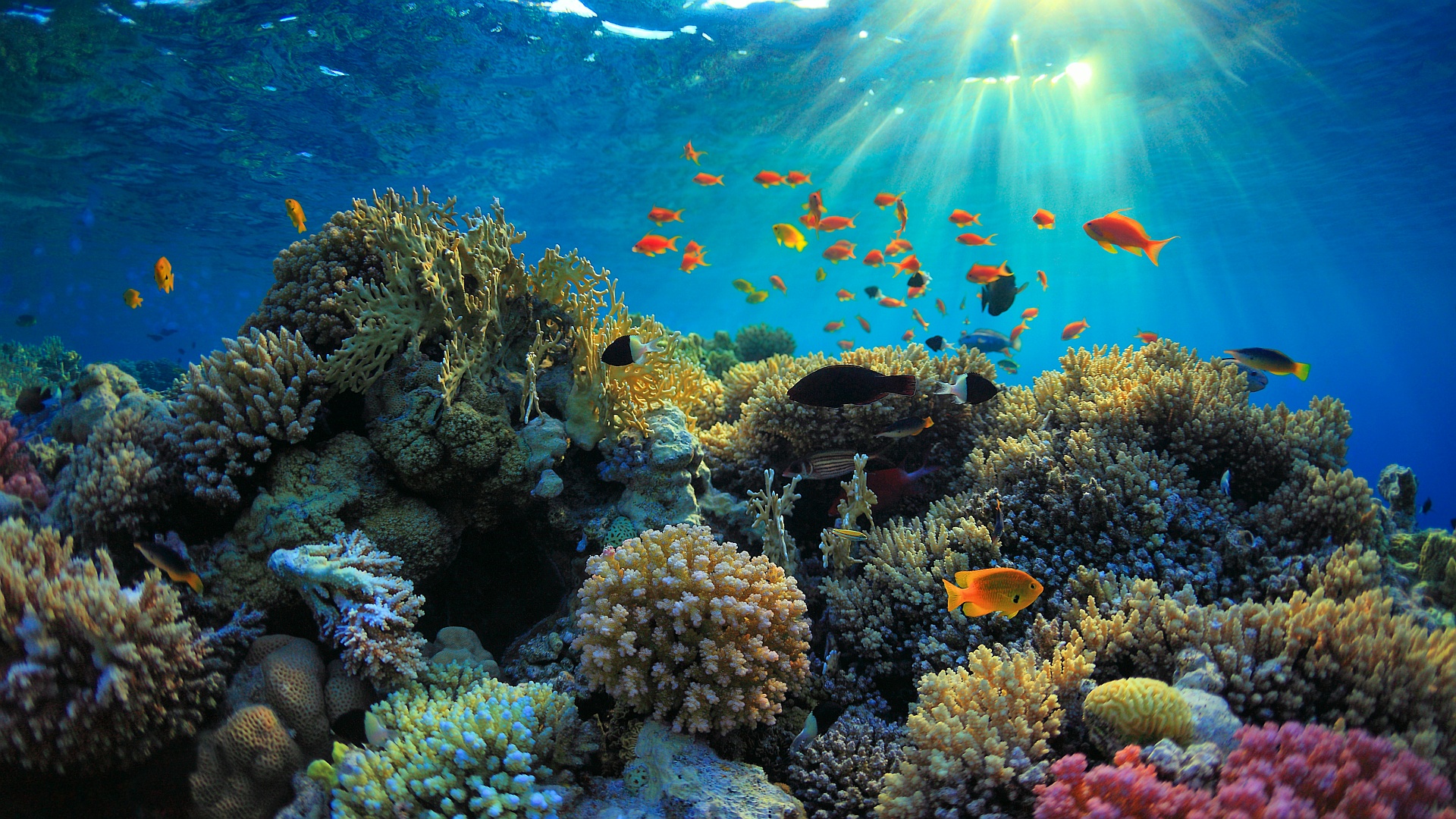 New global agreement on marine protection