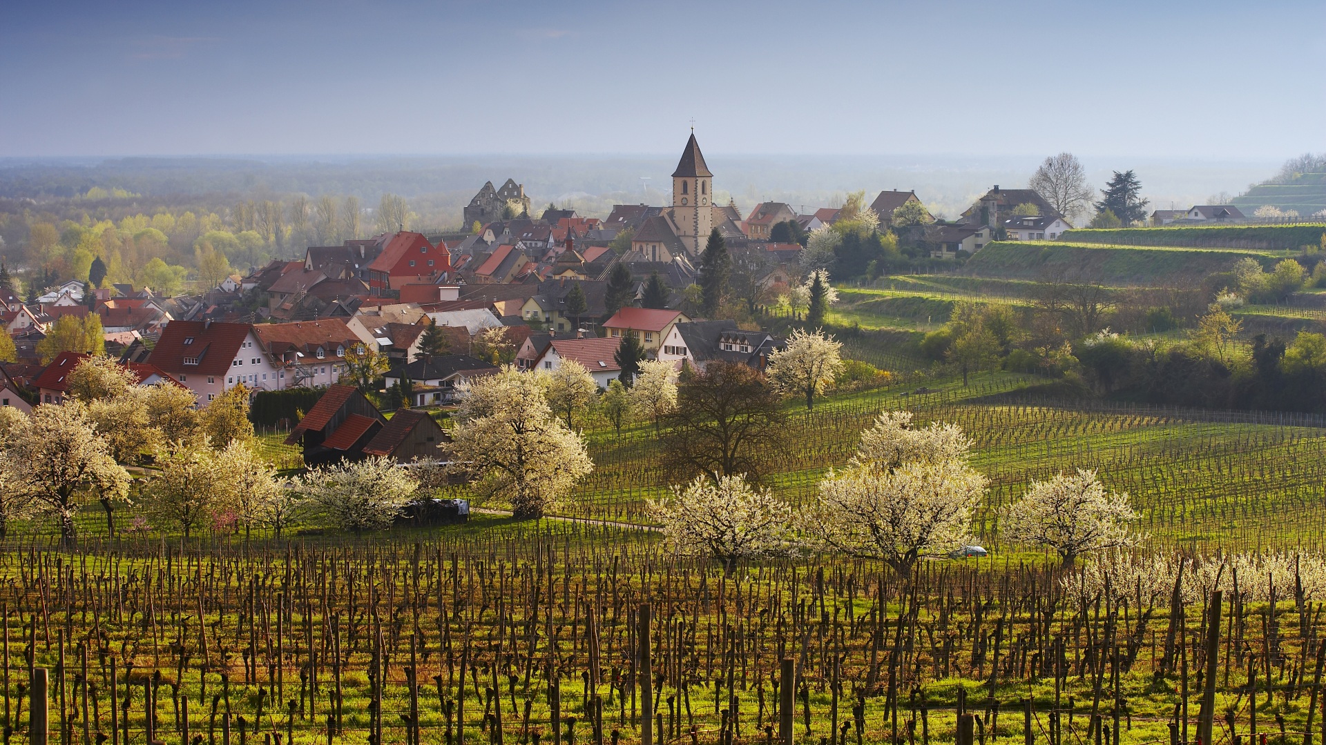 Alberghi Diffusi auf Schwarzwälder Art