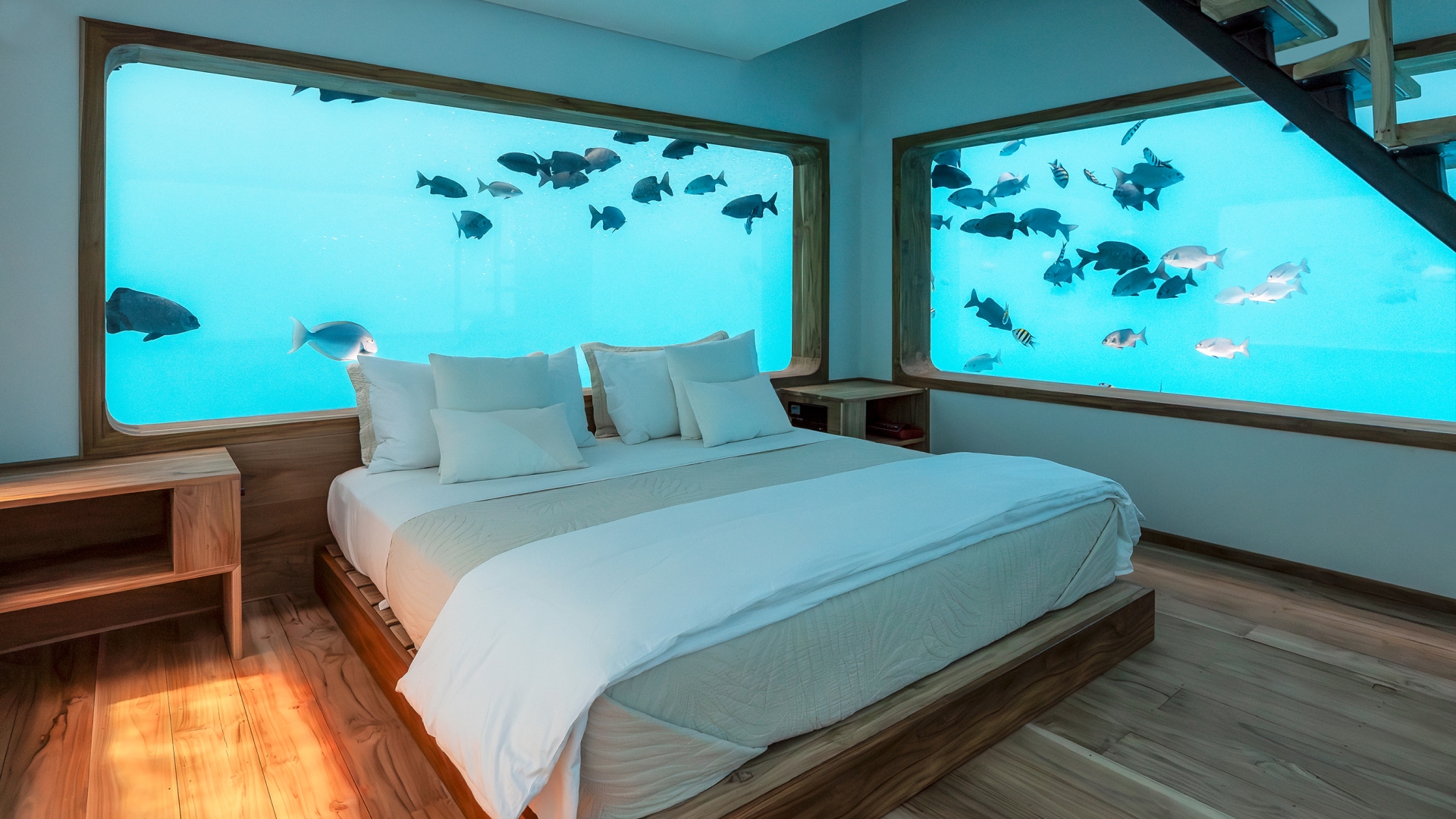Sleep under water and save the coral reefs