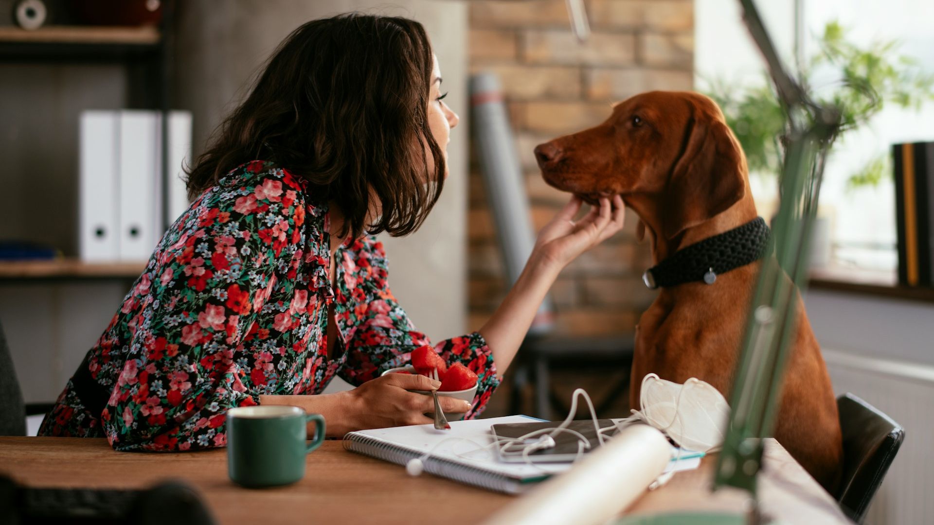 A dog in the office is more important than parental leave