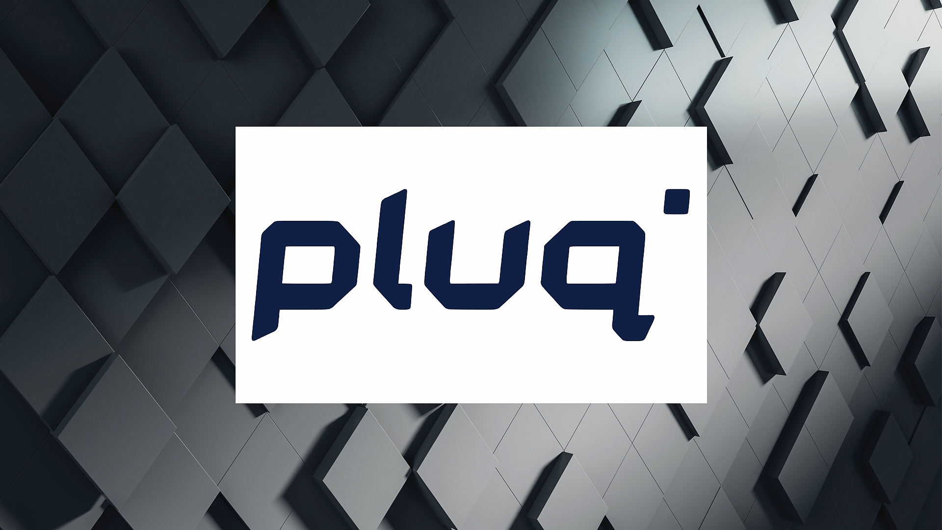 Pluq