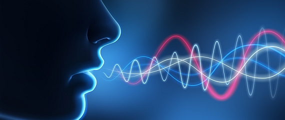 The Web learns to speak