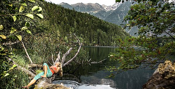 Weisse Berge fördern grüne Berge