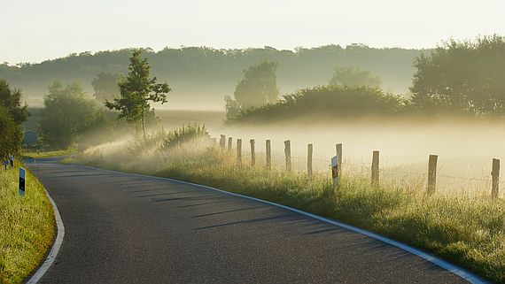 Es gibt nur den Weg durch den Nebel