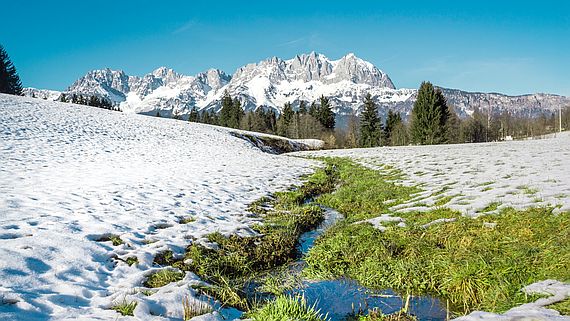 Tolle Umsätze, wenig Euphorie