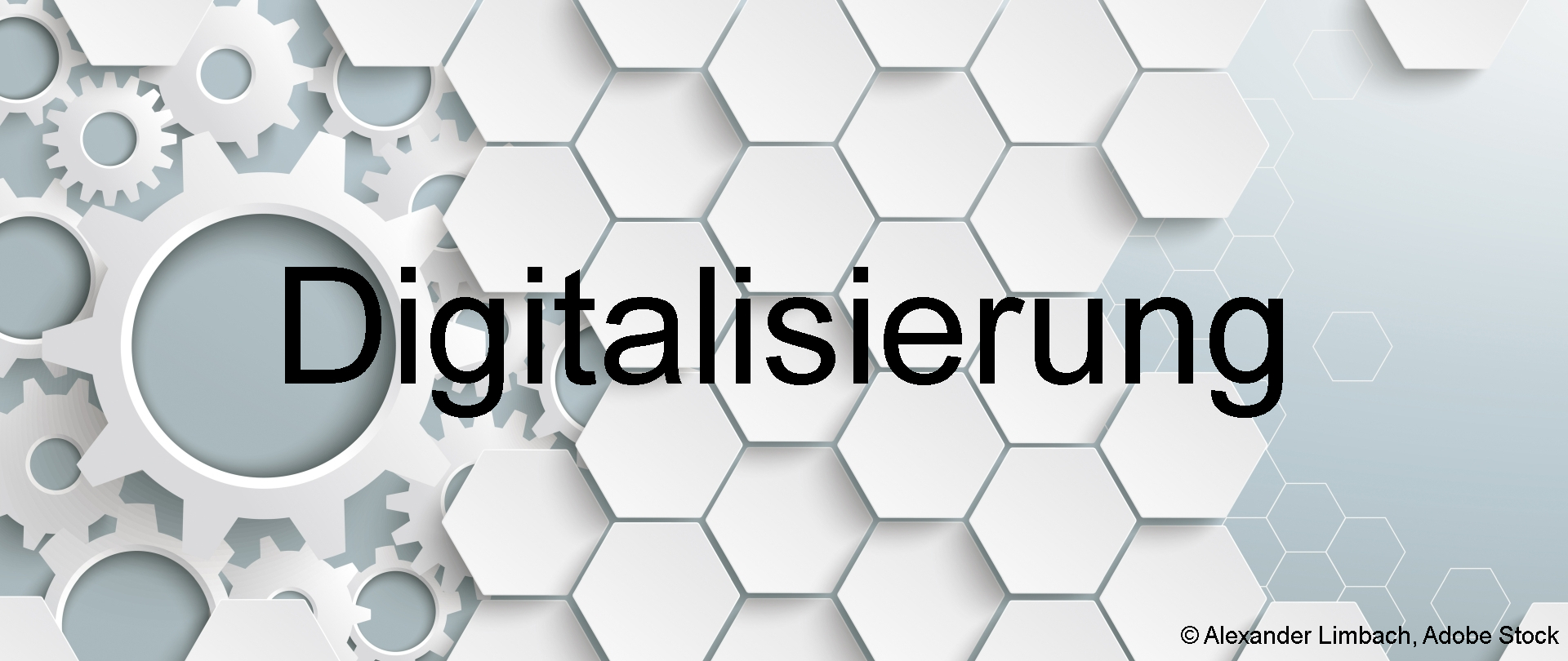 Rubrik Digitalisierung