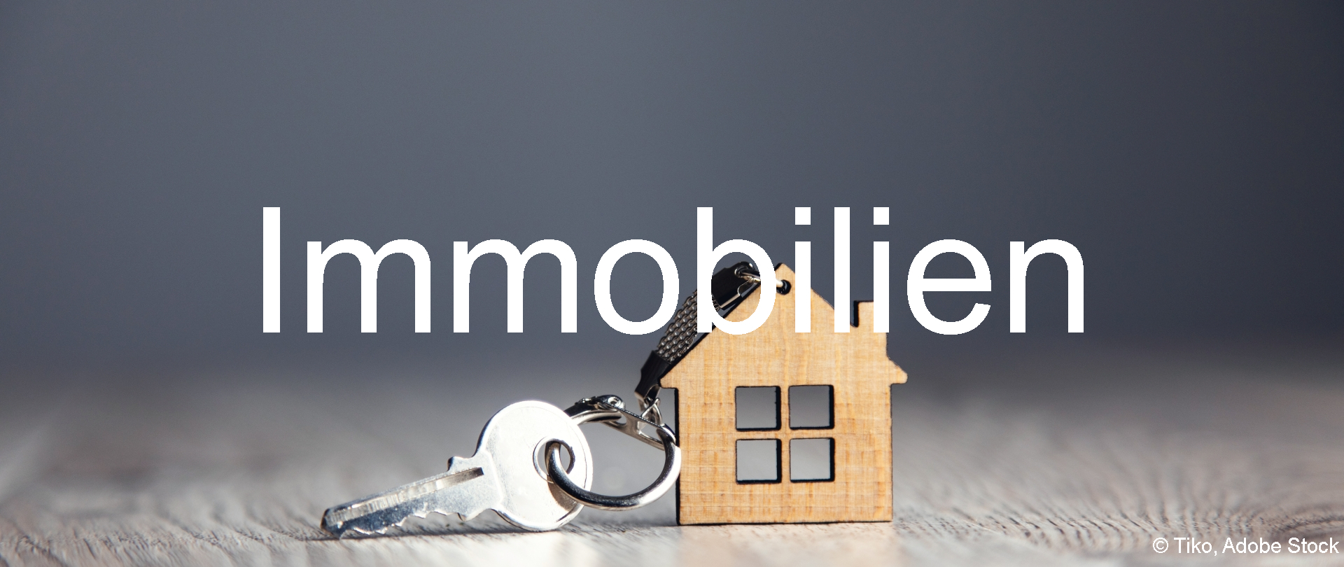 Rubrik Immobilien