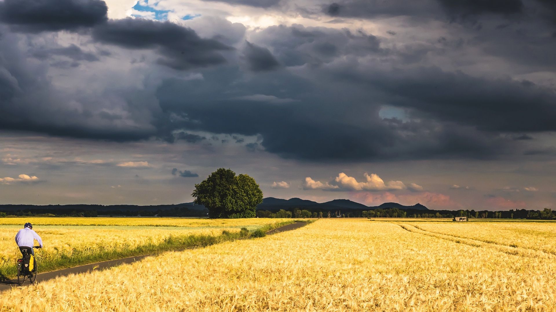 Agriculture, storm