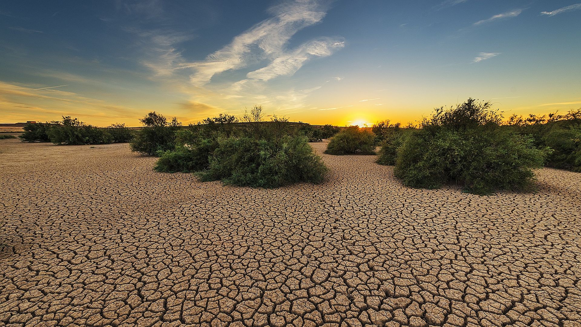 Desert, Climate