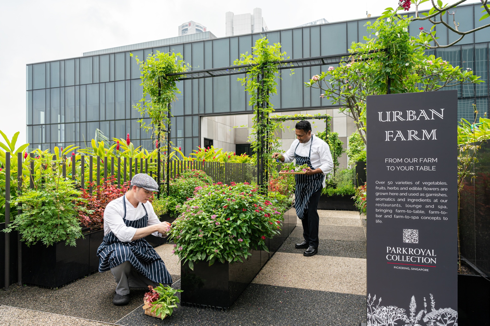 Parkroyal Pickering Singapore, Rooftop farm