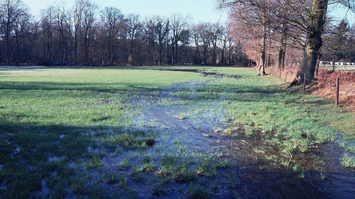 Grünlandbewässerung Niederlande
