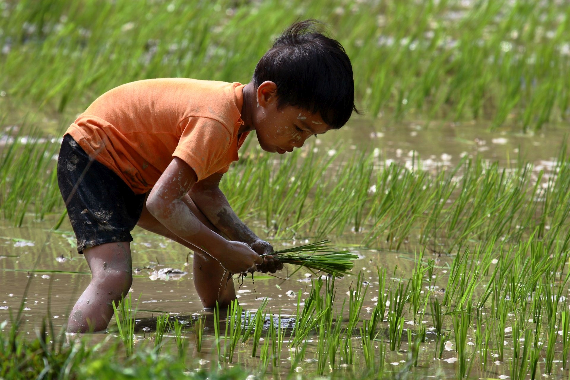 Child Labour