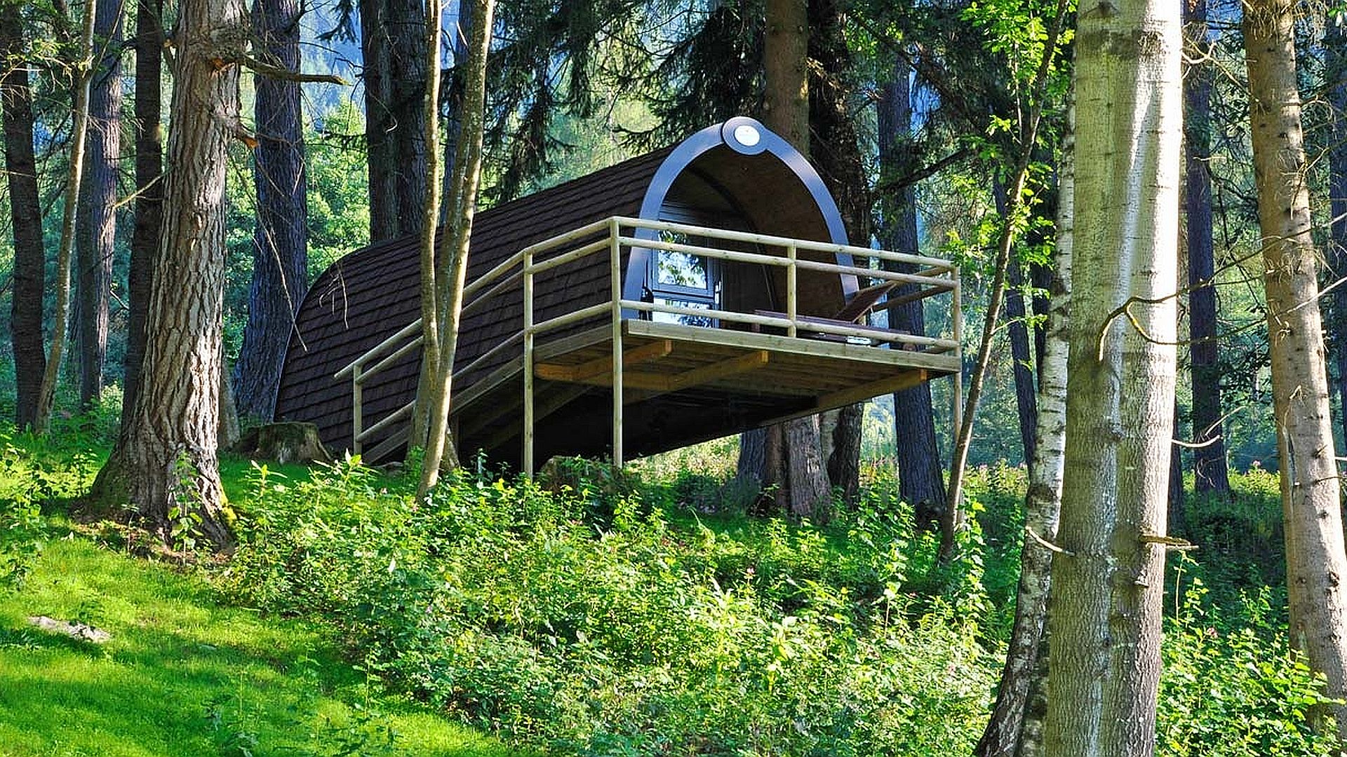 Wood-Lodge - Glamping