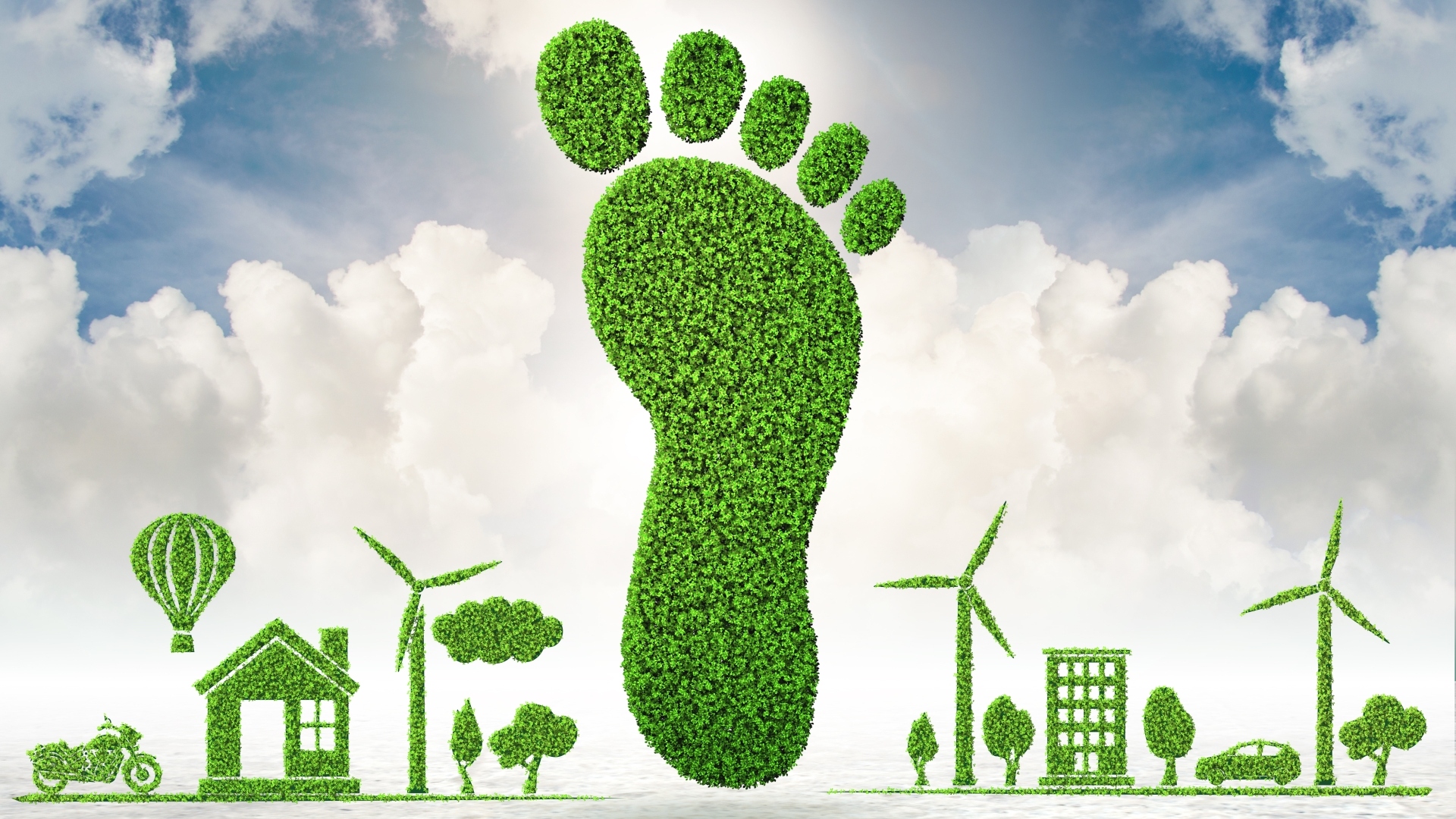 Carbon footprint