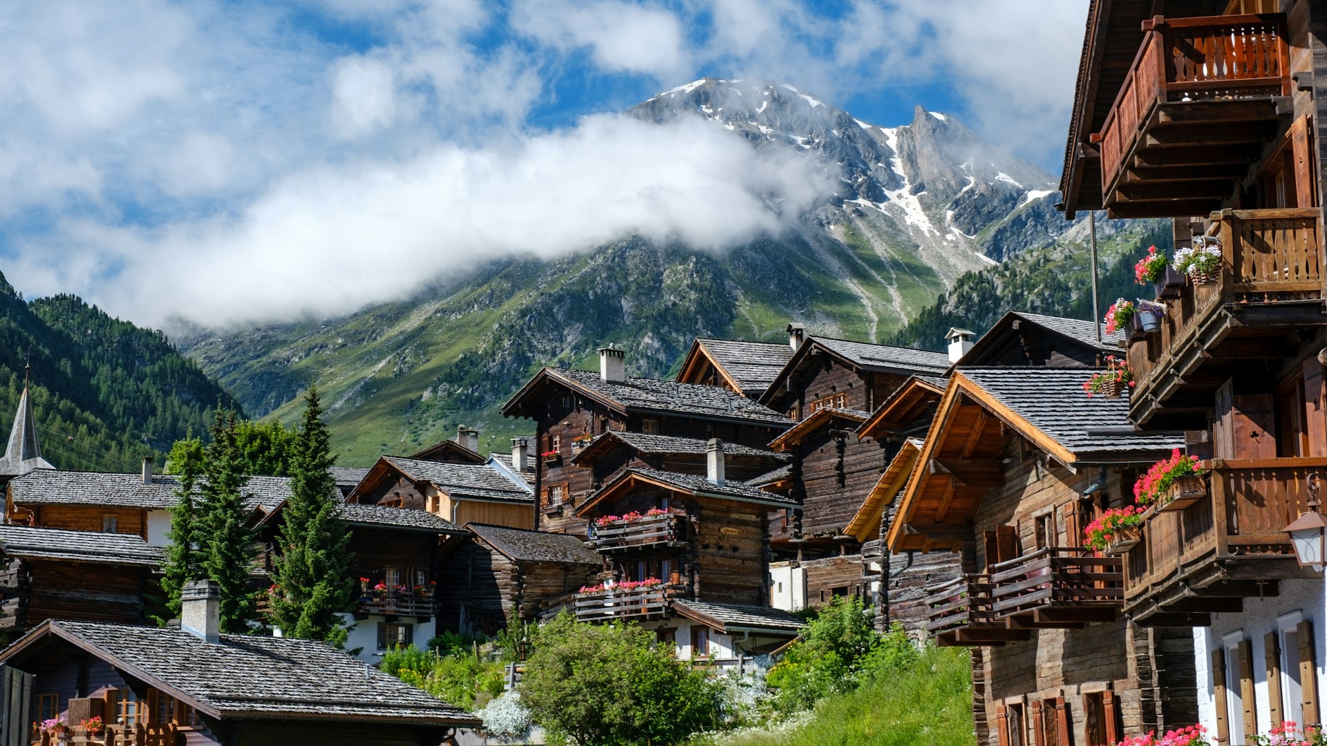 Swiss hotel industry: No to the biodiversity initiative  