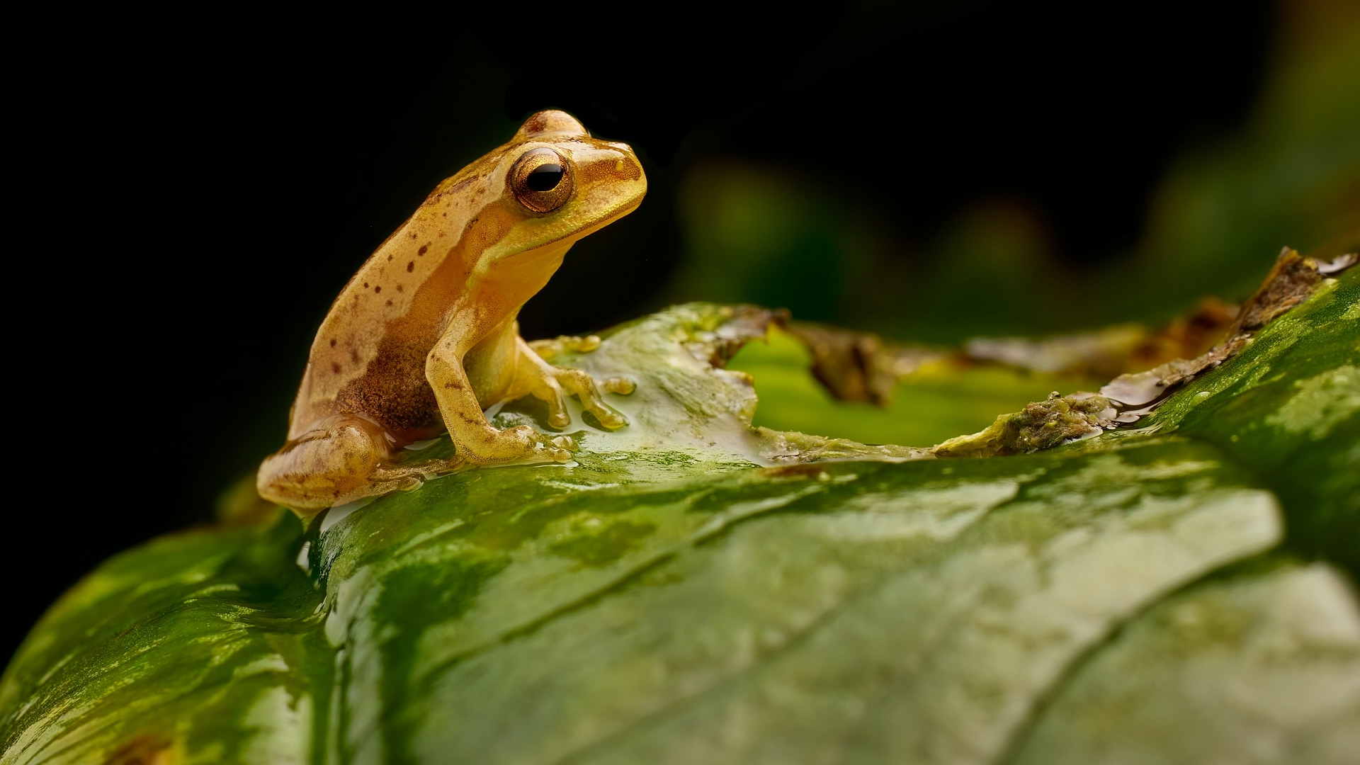 HITT 2025: Biodiversität und Infrastruktur