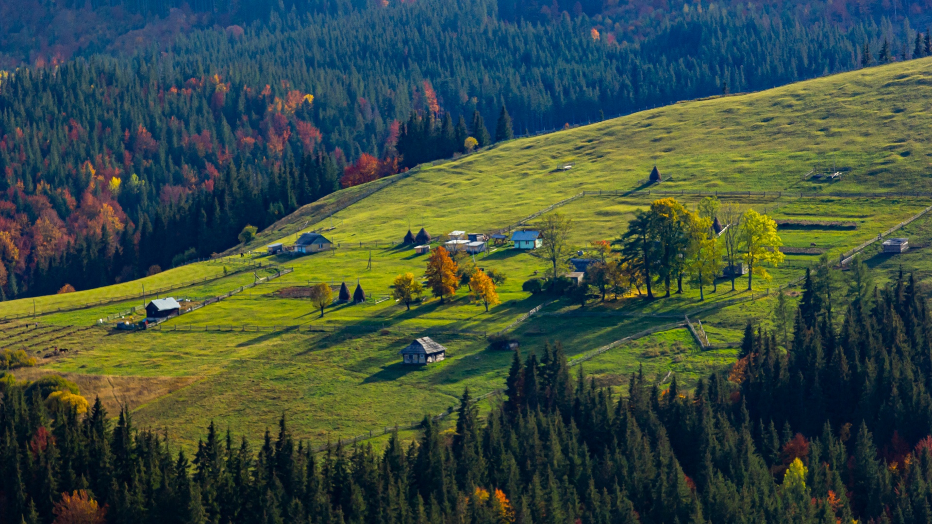 Carpathians, Ukraine