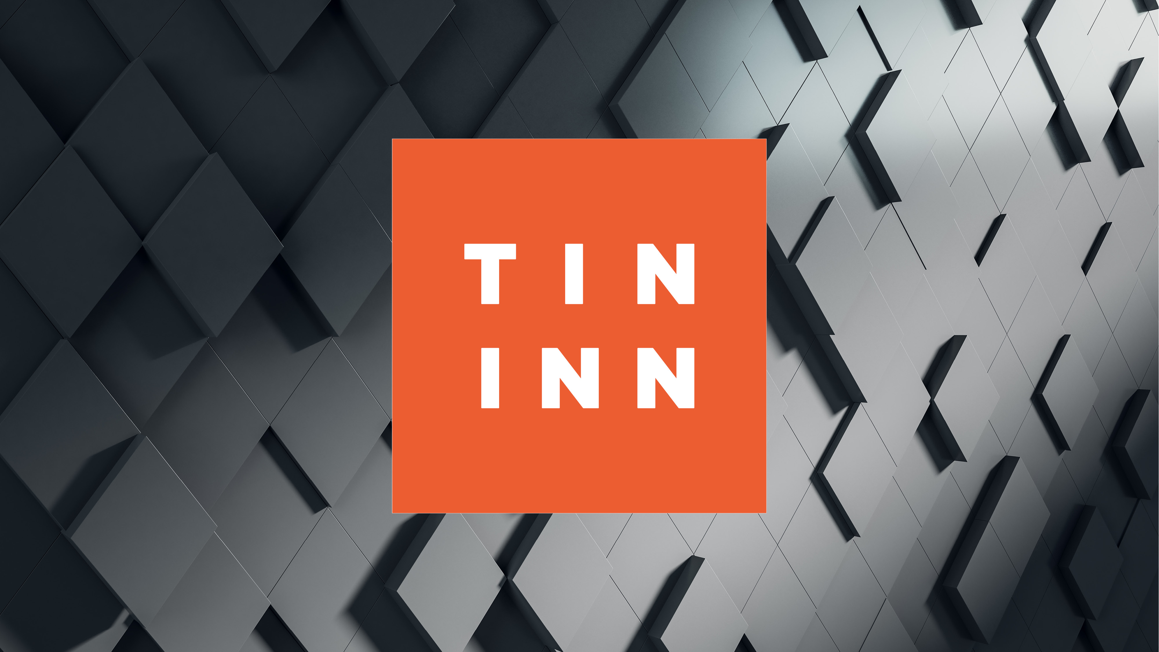 Tin Inn Holding AG