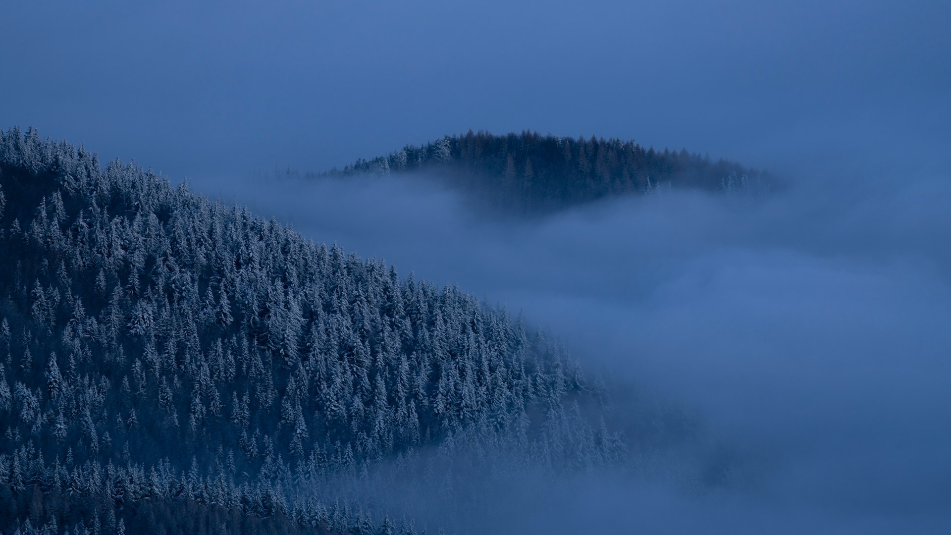 Nebelschwaden über einem gestressten Markt 