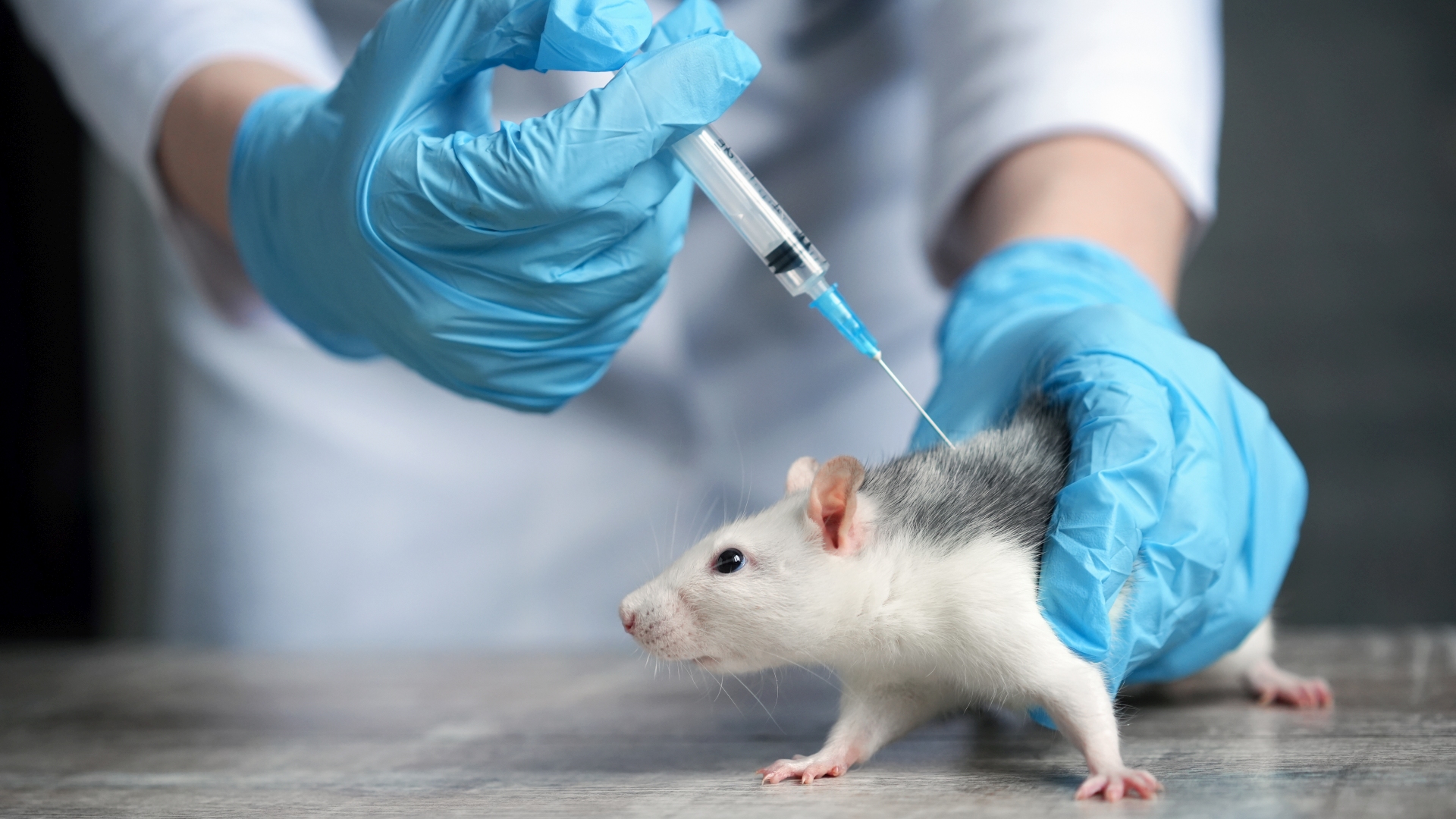 Longevity: Wo sind die Beweise? 