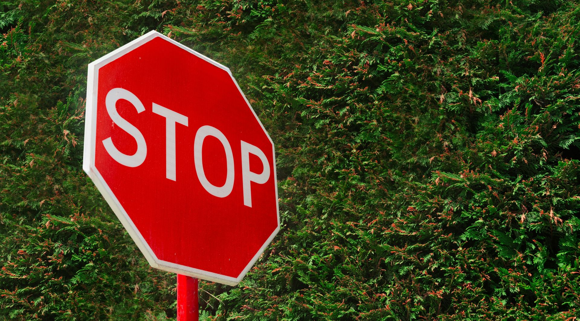 Traffic Stop Sign_1920_16-9_c fellipe ditadi unsplash